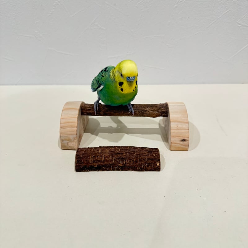 幼鳥・老鳥・介護用 置き型パーチ③【セキセイ・ウロコ・オカメ】自然
