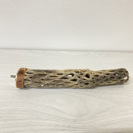 カクタスパーチ⑦ 極小サイズ 直径（約2-3cm）長さ/18.5cm