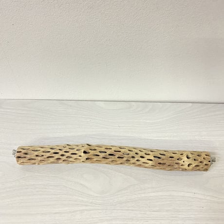 ケージサイズカクタスパーチ⑨ 極小サイズ直径2-3cm HOEI35サイズ
