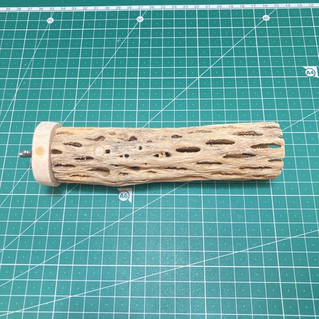 カクタスパーチ（15）小3-4㎝長さ15㎝