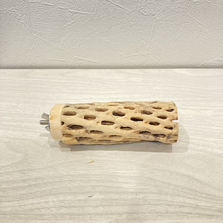 カクタスパーチ小⑩ 直径約3~4cm 長さ10cm