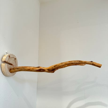 ピノキオの鼻 ②