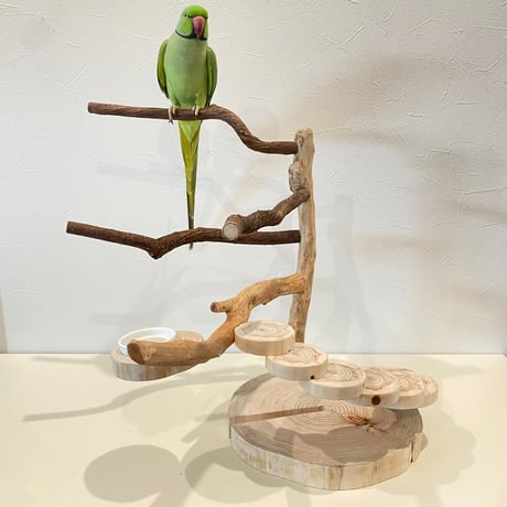 自然木（ツタ・貝塚伊吹）と螺旋階段のバードアスレチック【インコのおもちゃ・自然木のとまり木】