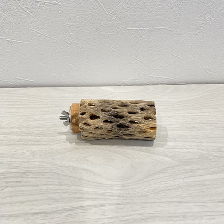 カクタスパーチ③ 小直径3.5cm 長さ9cm