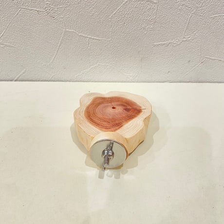 貝塚伊吹テーブルパーチ  ⑤