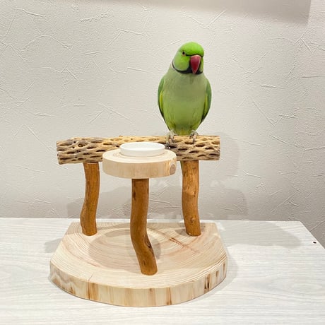 【mari様専用】カクタスのおやつ入れ付きスタンドパーチ　カクタスパーチ