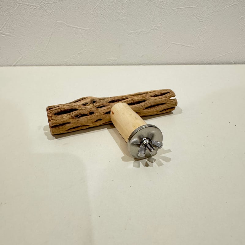 カクタスのT字パーチ HOEI465 | 自然木の鳥用品 鳥豆堂【トリマメドウ