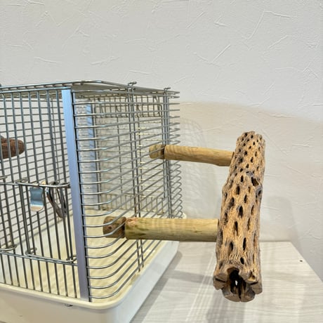 使い方いろいろ 屋上カクタスパーチ【4】 小25cm