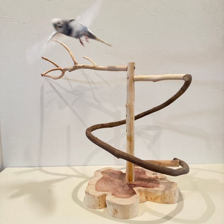 貝塚伊吹とツタのぐるぐるバードアスレチック 【自然木 とまり木 セキセイインコ・ウロコインコ】