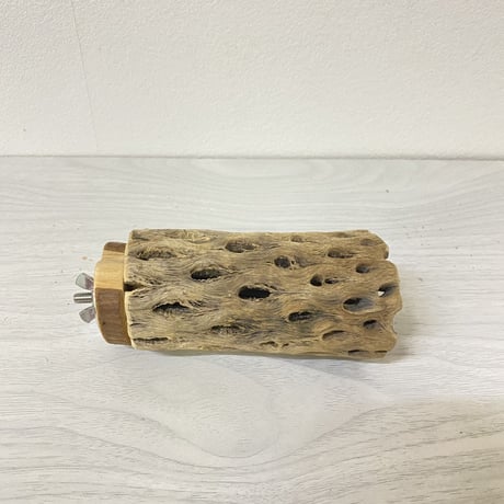 【中型・大型用】カクタスパーチ中⑦　直径5cm／長さ10cm
