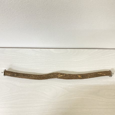 殿様パーチ（自然木ツタ）⑤ HOEI465サイズ  直径2cm