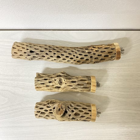 カクタスパーチ 小サイズ 直径（約3-4cm）長さ/13cm.25cm