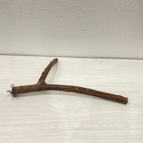 自然木（ツタ）パーチ⑦ 直径約1.2~1.5cm/最長26cm