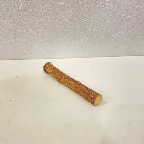 自然木（ツタ）パーチ⑦直径約2.1cm/長さ17cm