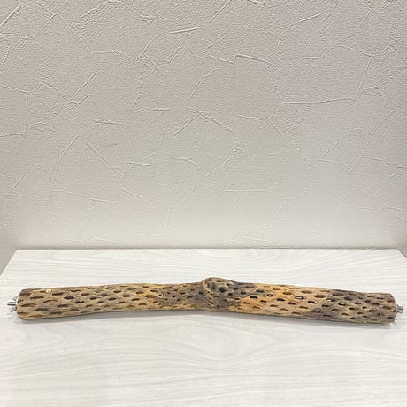 ケージサイズカクタスパーチ④  極小サイズ（直径2-3cm）HOEI465
