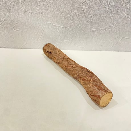 自然木（ツタ）パーチ 直径約2.5cm/長さ20cm