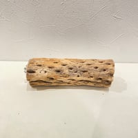 カクタスパーチ(I) 直径約5cm/長さ15cm