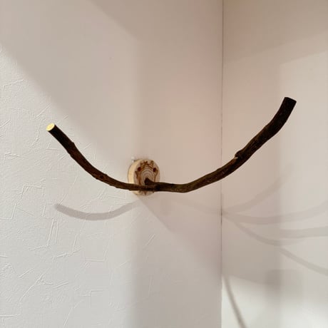 ツタのピノキオの鼻【A】