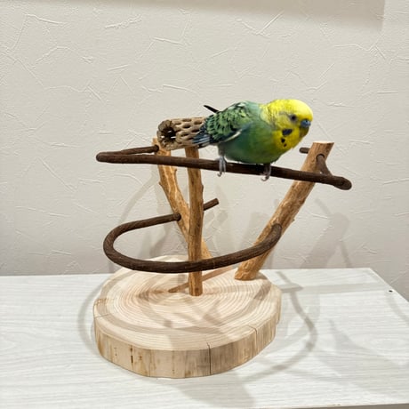 ツタのぐるりんバードアスレチック ①【インコのおもちゃ・自然木のとまり木】