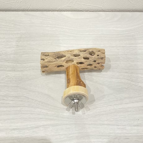 カクタスのT字パーチ⑤ HOEI35サイズ