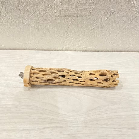 カクタスパーチ極小④ 2-3㎝長さ17cm