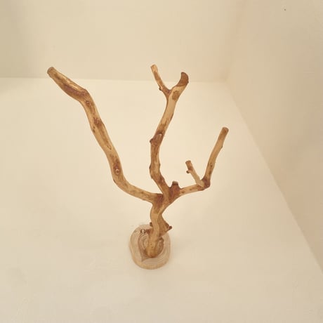 ピノキオの鼻 ③