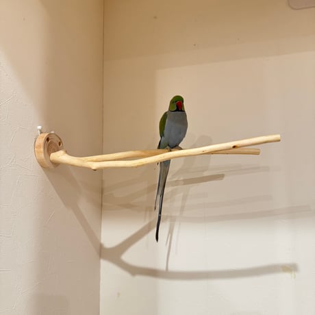 桧のピノキオの鼻 ②【インコ 自然木 止まり木 】