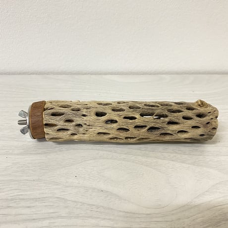 カクタスパーチ② 小サイズ 直径（約3-4cm）長さ/15cm