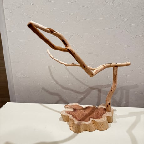貝塚伊吹のスタンドパーチ 【自然木 とまり木 】