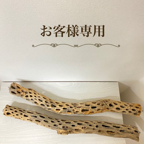 【miru様専用】ケージサイズカクタスパーチ 中直径約5.5cm/59.5cm