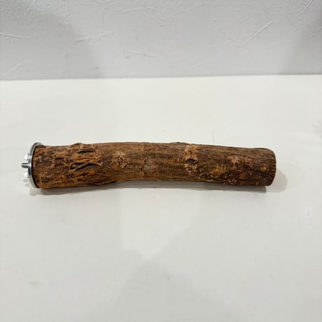 自然木（ツタ）パーチ 直径約3cm/長さ20cm