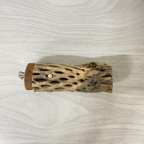カクタスパーチ 小サイズ③ 直径（約3-4cm）長さ/11cm