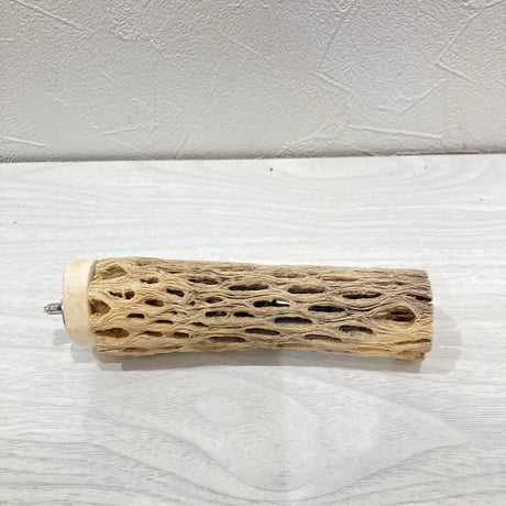 カクタスパーチ小　直径約3.5cm 長さ12.5cm