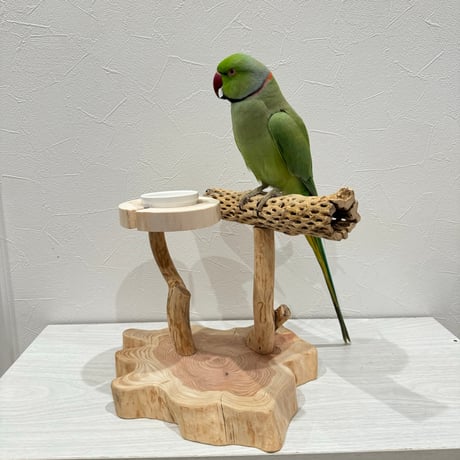 おやつ入れ付きカクタススタンドパーチ①