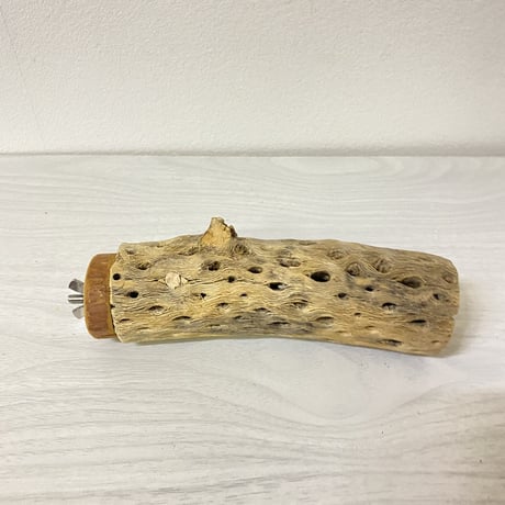 カクタスパーチ⑤ 中サイズ 直径（約5.5cm）長さ/15cm