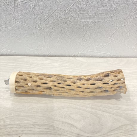 カクタスパーチ11  小　直径4cm前後 長さ20cm