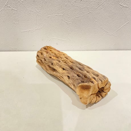 カクタスパーチ(G) 直径約4.5cm/長さ15cm