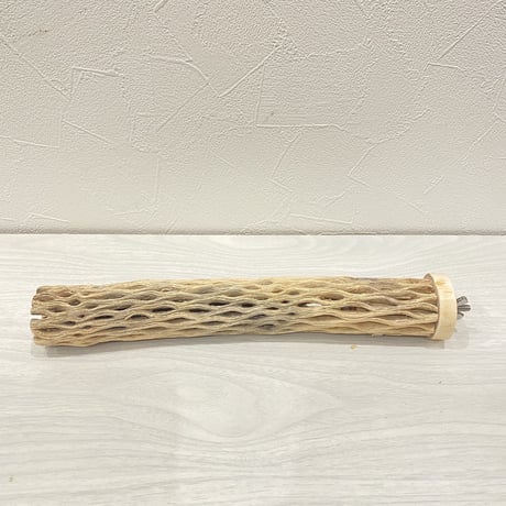 カクタスパーチ⑥ 小直径約3.5cm/25cm