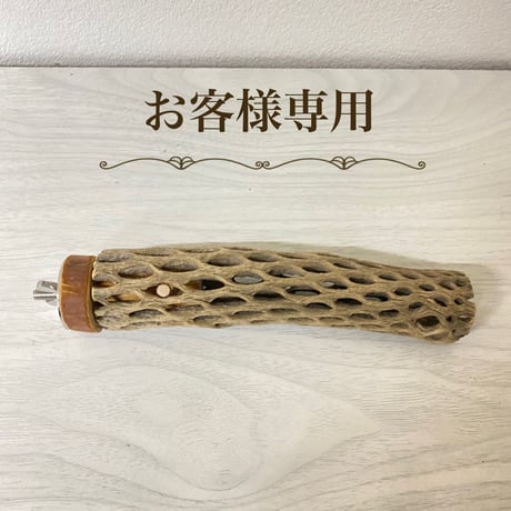 【pearl様専用】カクタスパーチ　極小サイズ 直径（約2-3cm）長さ/15cm