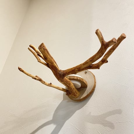 ピノキオの鼻