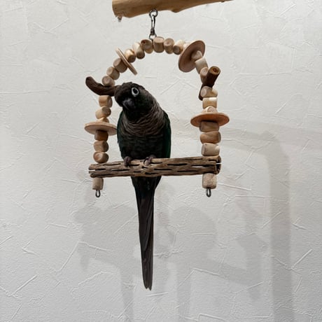 小型さん用カクタスと天然ウッドビーズのブランコ⑤【インコ おもちゃ サボテンの骨】