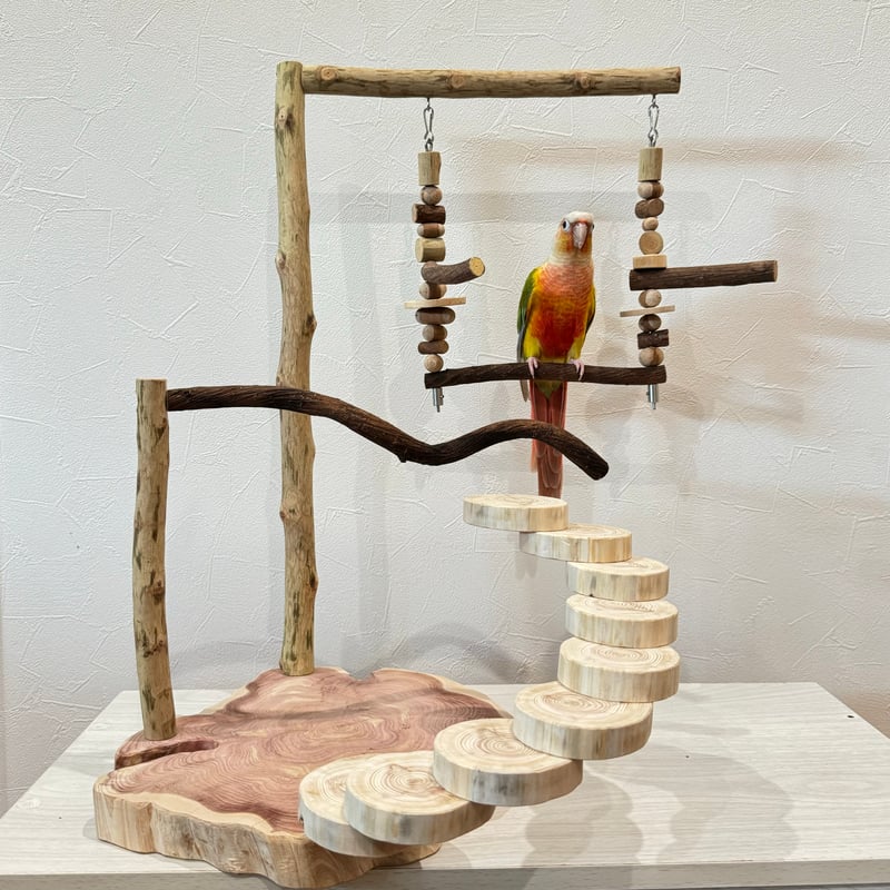 特別注文の品　バードアスレチック 特別注文の品 バードアスレチック 特別注文の品 バードアスレチック