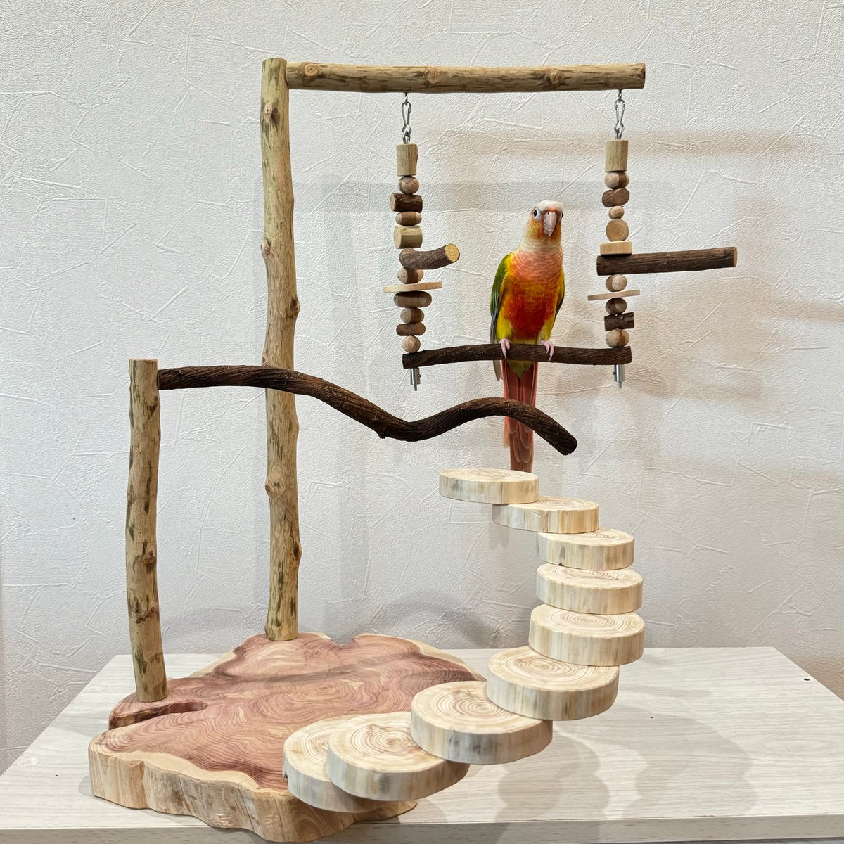 fit=scale-down,w=1200