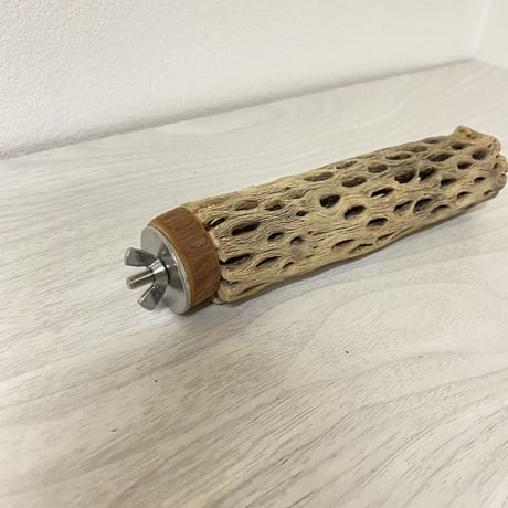 カクタスパーチ② 小サイズ 直径（約3-4cm）長さ/15cm