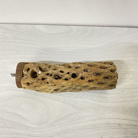 カクタスパーチ 中サイズ③ 直径約5cm 長さ/15cm