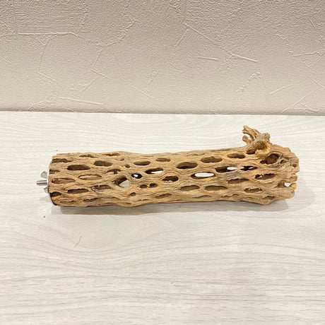 カクタスパーチ【E】直径4~5cm/長さ20cm