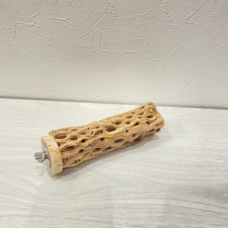 カクタスパーチ③小3-4㎝長さ15㎝