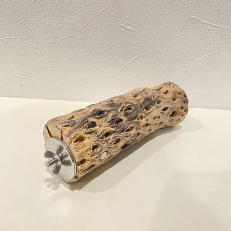 カクタスパーチ⑧ 直径約5~5.5cm/長さ17cm