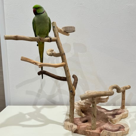 ジグザグ階段と5種類の自然木パーチのバードアスレチック【インコのおもちゃ・自然木のとまり木】