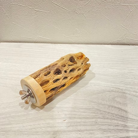 カクタスパーチ【6】直径4~5cm/長さ10cm